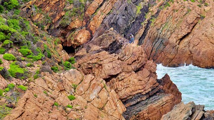 Beautiful gorge close to the ocean with green trees 