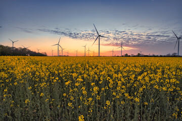 Rabsfeld in der Abenddämmerung