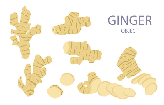 ginger object for health on white background
