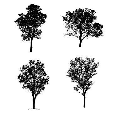 silhouette of a tree set
