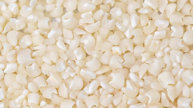 Closeup, top view of dried white corn or canjica. Food backdrop