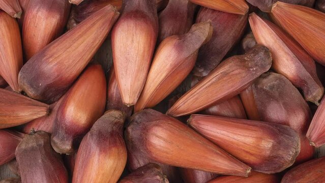 Closeup of pinions or pine tree seeds. Food backdrop
