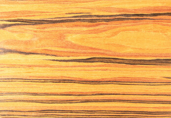 Natural wood background. Bright orange rosewood veneer with contrasting stripes