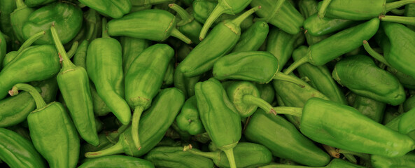 Background of spanish fresh green pepper. Banner
