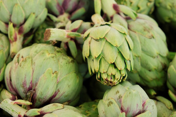 Obraz premium Fresh green artichoke close up. Organic healthy vegetables.