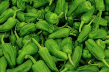 Background of spanish fresh juicy green pepper.