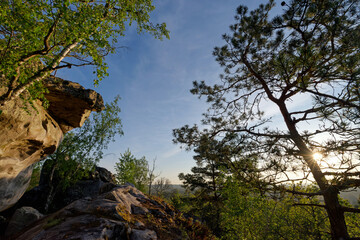 Fototapeta na wymiar Boulders in the Haute Pierre hill near Milly-La-Foret village. Fontainebleau forest 