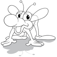 Drawing of a Funny Housefly on All Four Limbs
