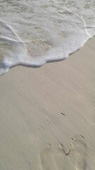 footprints on the sand on beach