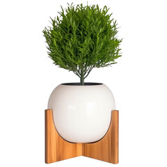 modern house plant with white wood and wooden base pot on a transparent background, Generative Ai