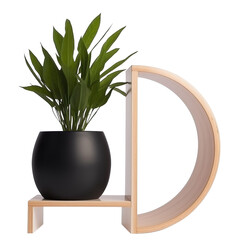 modern house plant with black and wooden pot on a transparent background, Generative Ai