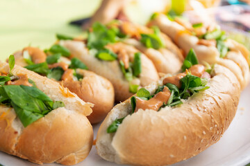 Homemade hot dogs on a picnic, close up, food out