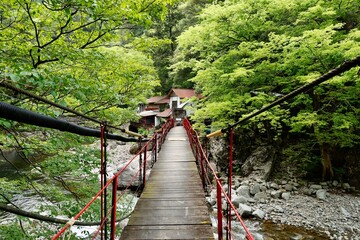 三段峡の黒淵にかかる橋