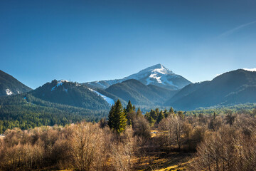 Mt. Todorka and the forest at the foot of it. Spring landscape in Pirin mountains, Bulgaria.