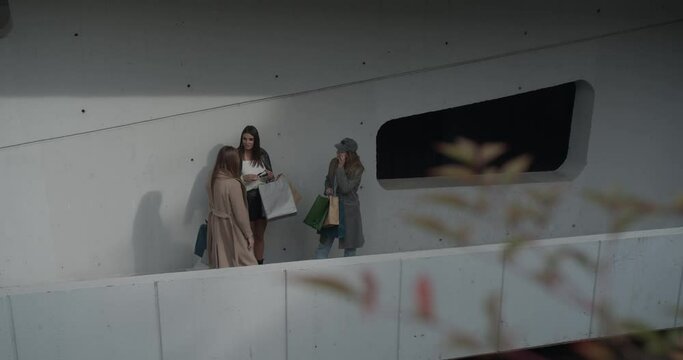 Happy female shoppers