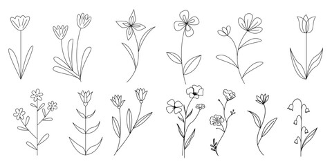 Fototapeta na wymiar Set of line natural flower icons. Hand drawn flowers illustration collection. Botanical, Natural and floral concept seamless icons. Vector illustration.