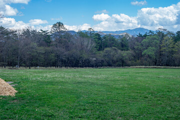 清里の草原