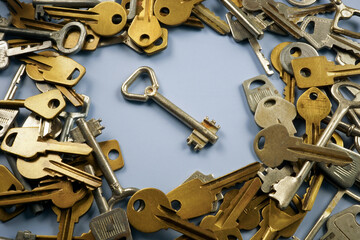 The key is surrounded by others as a symbol of the correct solution to the problem or answer.