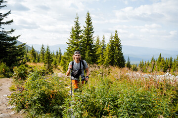 Solo journey through the taiga, trekking in the mountains, man tourist, tall grass, mountain trail,...