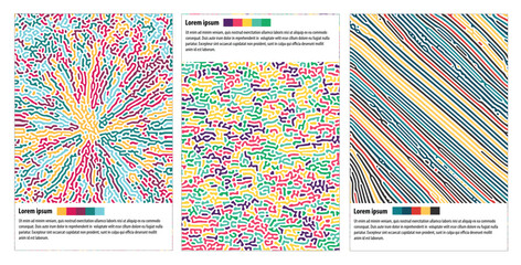 Abstract multicolour pattern thrre styles of reaction biology diffusion turing on white background poster cover design. Vector illustration.  