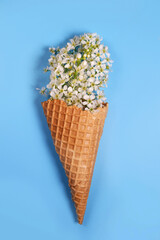 Ice cream waffle cone with flowers