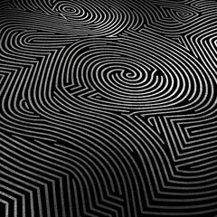 Black and white fingerprint , labirint, abstract background