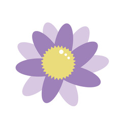 illustration of a flower