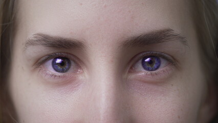 Fototapeta premium Blue eyes of a beautiful girl. The white woman opens her eyes. Lovely clean young face. Close-up of attractive Caucasian eyebrows