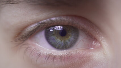 Extreme close-up of a beautiful girl's blue eye. The white woman opens her eye. Natural eyelashes, well-groomed eyebrows. Perfectly clean skin