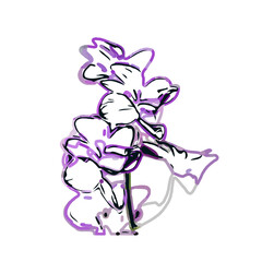 Orchid flower color sketch with a transparent background