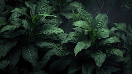 Naklejka na ściany i meble Dark green leafy foliage with a moody, mysterious ambiance, generative ai