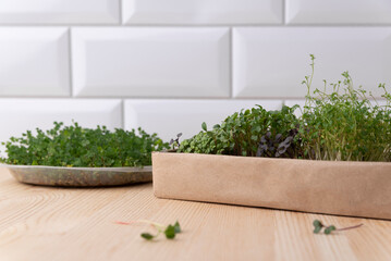 The concept of a healthy lifestyle and diet, eco-product. Cooking with sprouts, vegetable fresh microgreens Raw sprouts