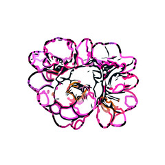 Orchid flower color sketch with a transparent background