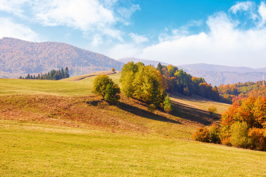 incredible autumn landscape with colorful trees. hill and meadows at the foot of borzhava mountain ridge on a sunny morning