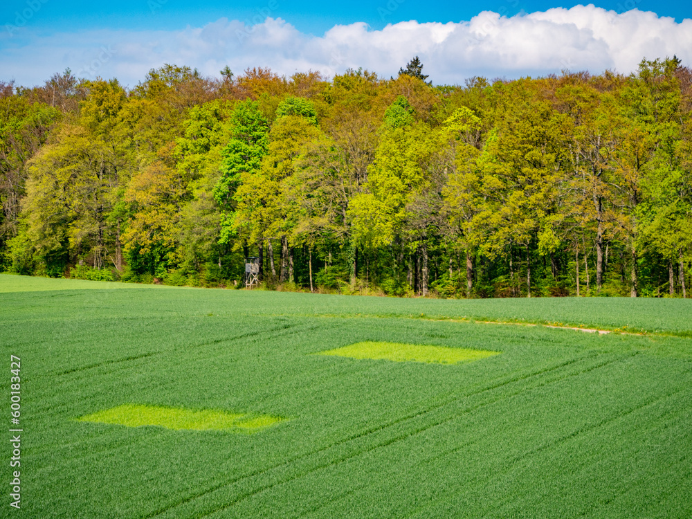 Sticker Agrarlandschaft im Frühjahr