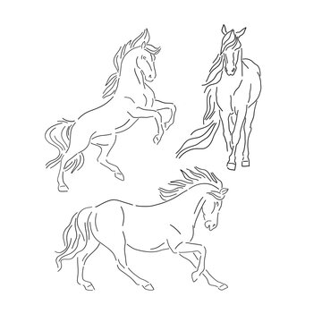 Black lines wild horse vector illustration set. Animalistic elegant clip art collection. Linear sketchy style backdrop.