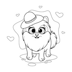 Obraz premium Coloring page. Fashionable and cute dog, pomeranian spitz with hat