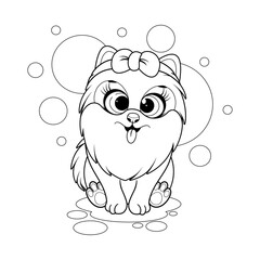 Coloring page. Cute cartoon dog, pomeranian spitz with bow-knot
