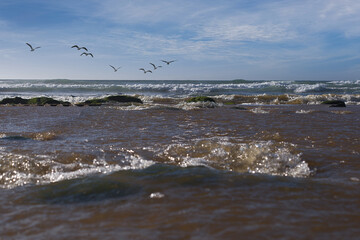 Seascape on a rocky beach