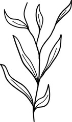 Flower drawing