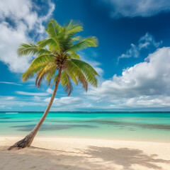 beach with palm trees on a sunny day
