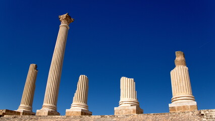Columns on the ruins of an ancient Roman temple in Uthina, outside of Tunis, Tunisia