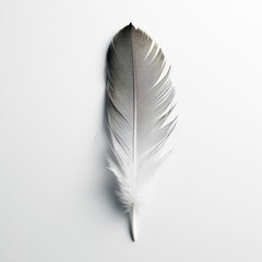 a single perfect feather on a clean white background, generative ai