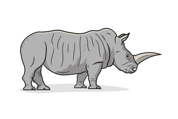 Side view of Standing Rhinoceros Isolated on White Background. Cartoon style. Educational Zoology Illustration. Coloring Book Picture.