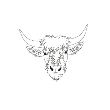 Linear Irish cow heard portrait. Western vector illustration isolated on white.