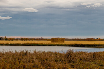 Square hay bales stacked in a field. Mountanview County, Alberta, Canada