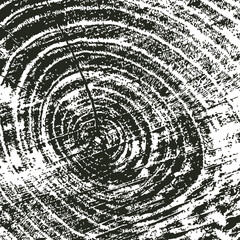 Abstract pattern square of wood saw cuts and cross-sections of tree trunks. Vector background with wooden texture in grunge style.