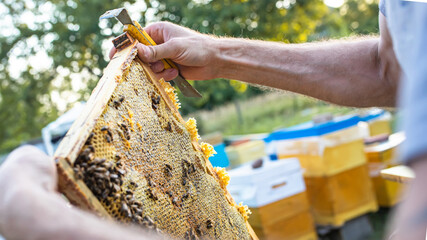 Beehive Spring Management. beekeeper inspecting bee hive and prepares apiary for summer season. Beekeeping. Beekeeper grey protective suit costume checks beehives 