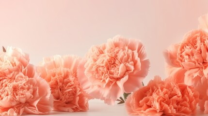 Peachy pink carnations on a light pink background with copy space. Generative AI.