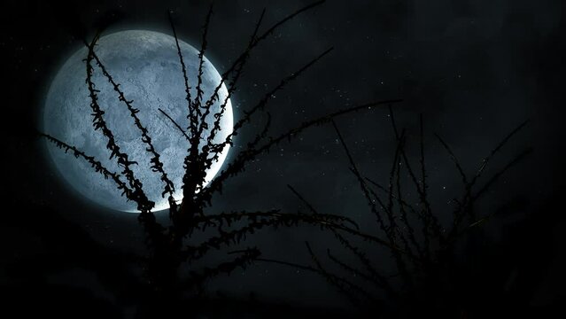 Horror moonlight, fantasy motion graphics, video loop. A dark 3D concept, with a full moon, stars, dark sky, and dry branches moving by the dusty air 